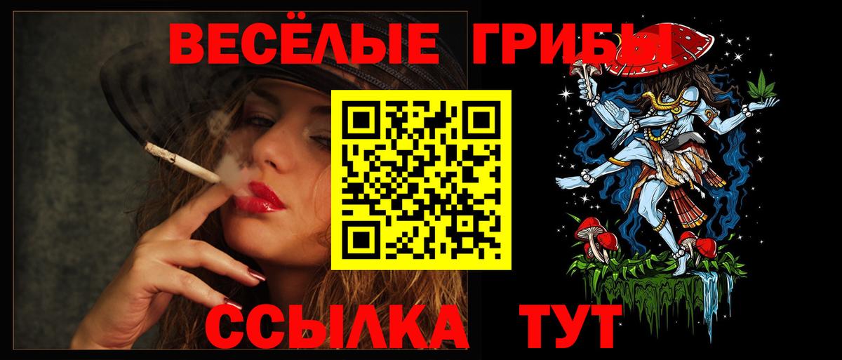 цена наркотик  Галлюциногенные грибы мухоморы  Вход с VPN  Черногорск 